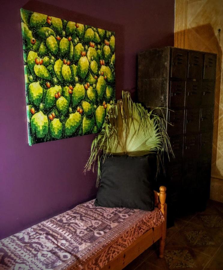 Higos Chumbos, Casa Rural Compartido Чиклана-де-ла-Фронтера Экстерьер фото