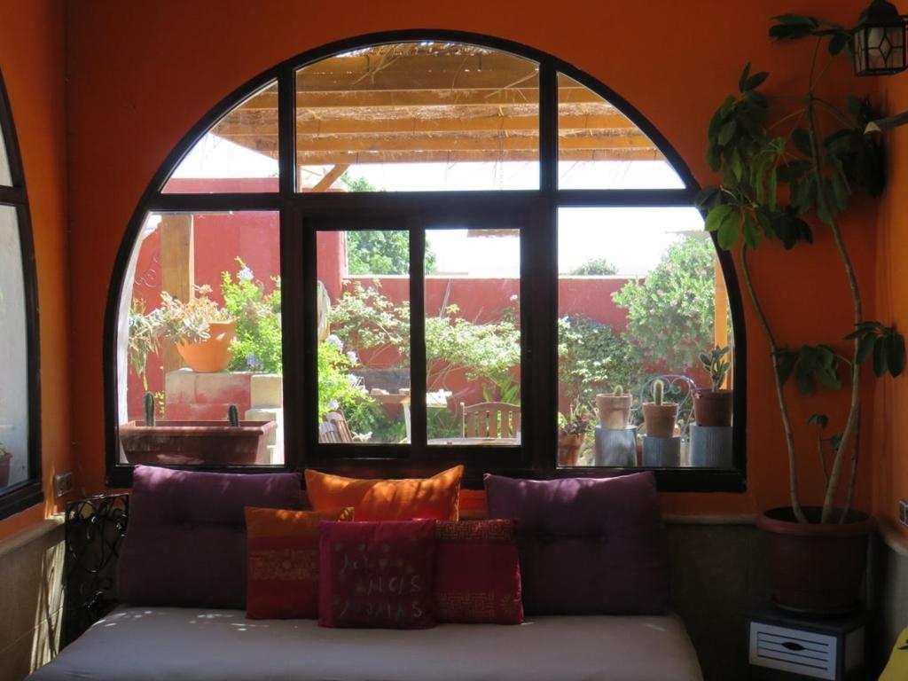 Higos Chumbos, Casa Rural Compartido Чиклана-де-ла-Фронтера Экстерьер фото
